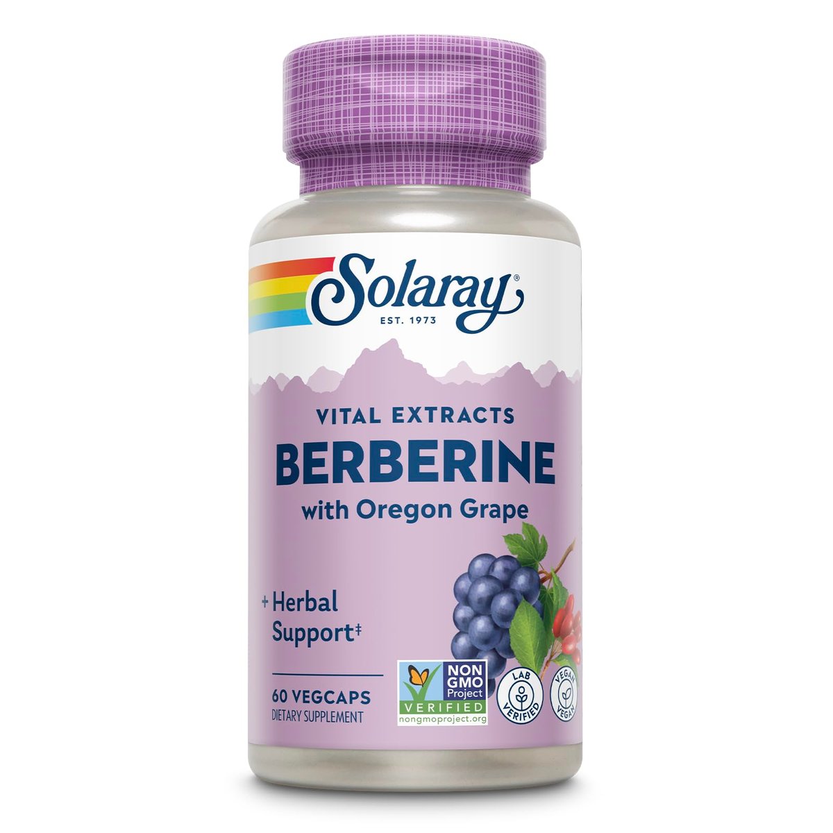 SOLARAY Berberin 250mg – Berberin Nahrungsergänzung für einen gesunden, aktiven Lebensstil – mit Berberin HCl aus Indischer Berberitze plus Oregon-Traube – Vegan, Nicht-GVO, 60-Tage-Garantie – 60 Portionen, 60 VegKaps