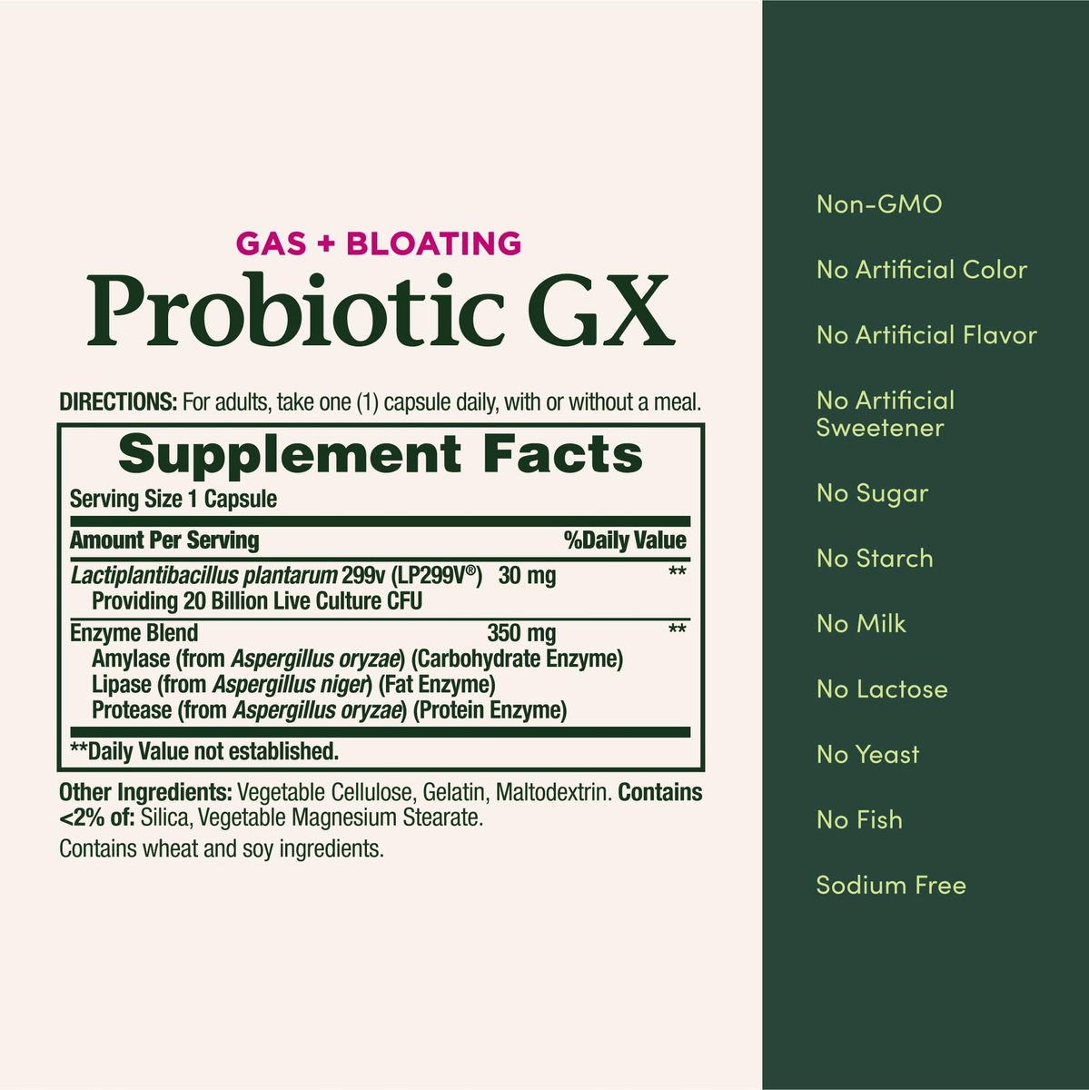 Nature's Bounty Probiotic GX – 25 Kapseln zur Unterstützung der Verdauung bei gelegentlichen Blähungen