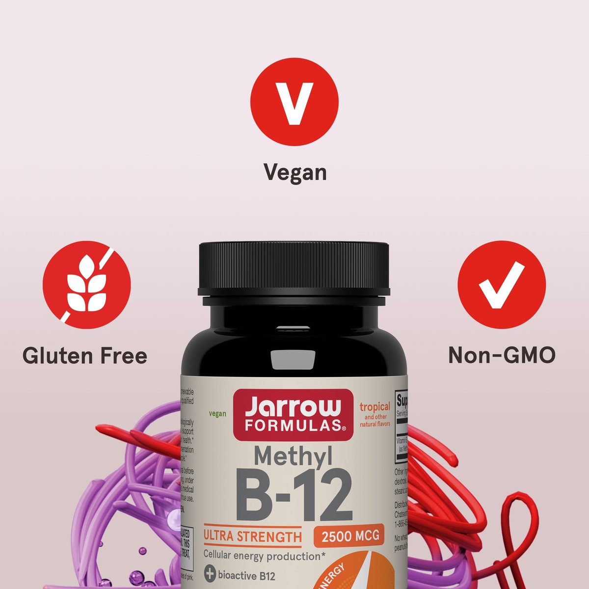Jarrow Formulas Methyl Vitamin B12 2500 mcg – 100 Kautabletten, tropischer Geschmack – Bioaktives Vitamin B12 für Energieproduktion, Gehirngesundheit & Stoffwechsel