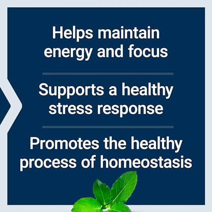 Life Extension Adrenal Energy Formula – Stressabbau mit heiligem Basilikum, Cordyceps, Bacopa und Ashwagandha, glutenfrei, nicht-GVO, vegetarisch, 60 Kapseln