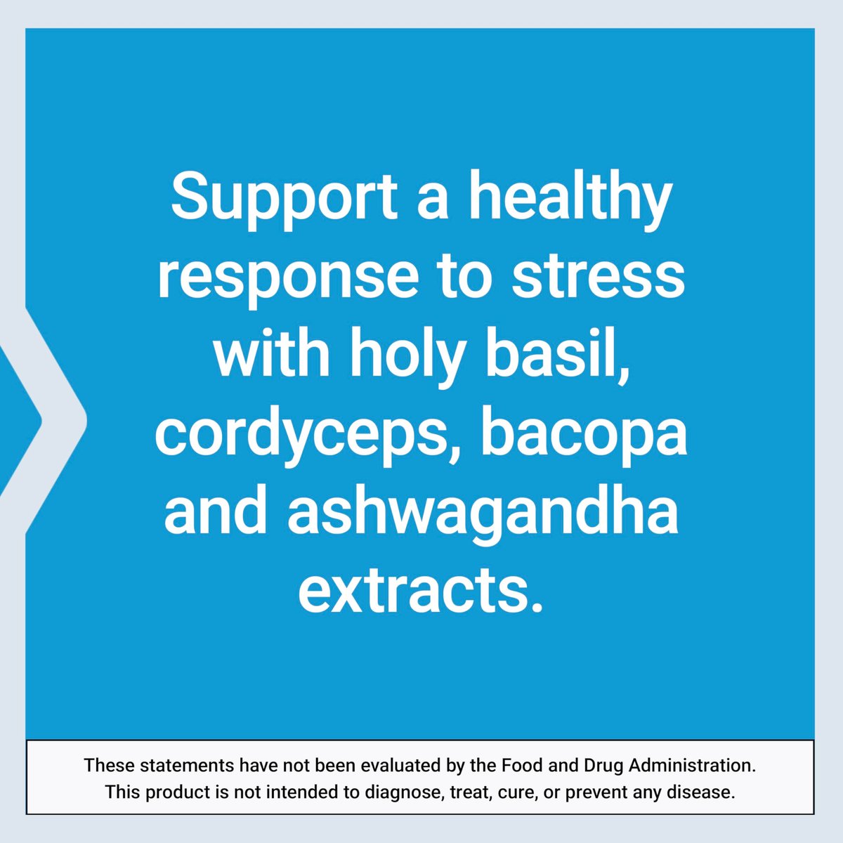 Life Extension Adrenal Energy Formula – Stressabbau mit heiligem Basilikum, Cordyceps, Bacopa und Ashwagandha, glutenfrei, nicht-GVO, vegetarisch, 60 Kapseln