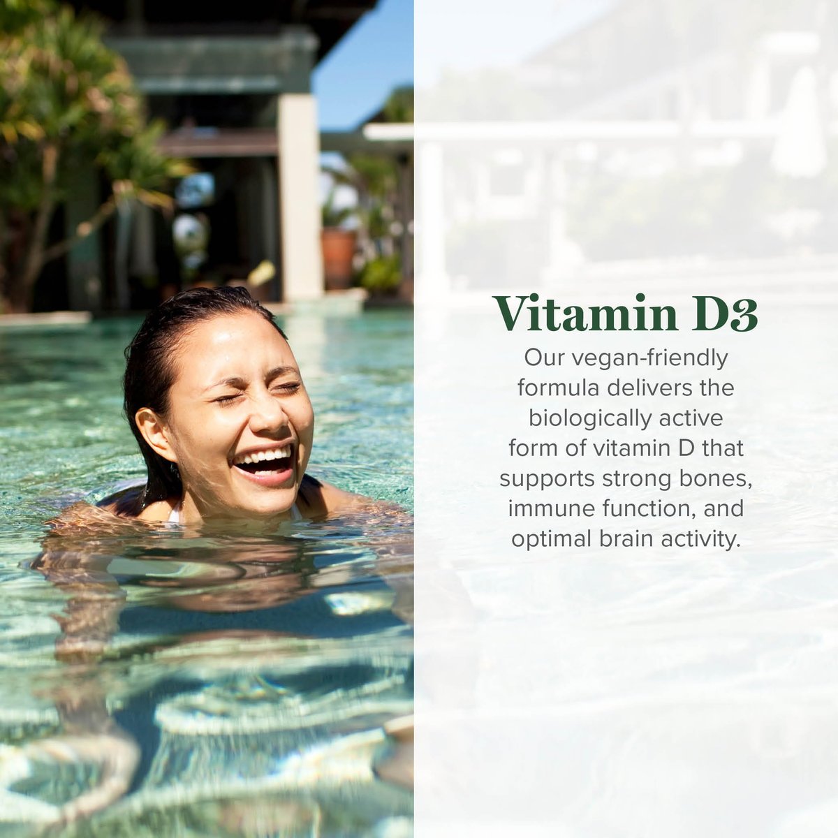 Global Healing Organic Vitamin D3 5000 IE - Vegane Vitamin D Tropfen für Immunsystem & Knochenstärke - Reine D3 5000 IE, 60 ml