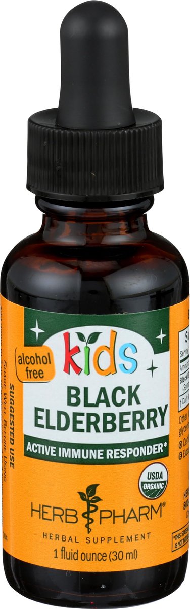 Herb Pharm Bio-Kinder Bio-Alkoholfreier Holunderbeeren-Glycerit-Extrakt, 29,6 ml