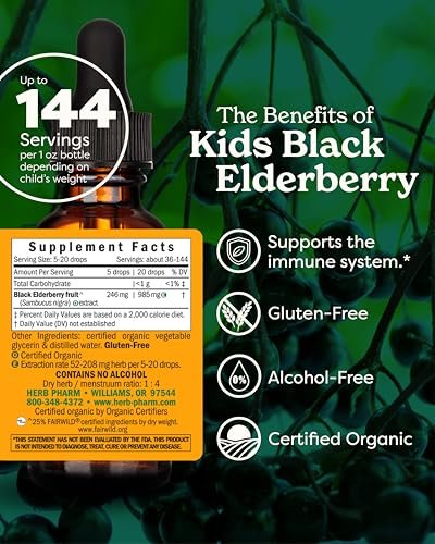 Herb Pharm Bio-Kinder Bio-Alkoholfreier Holunderbeeren-Glycerit-Extrakt, 29,6 ml