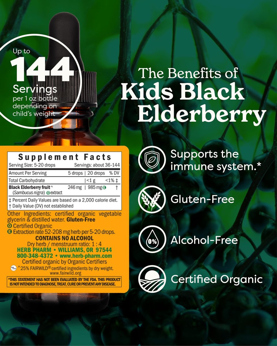 Herb Pharm Bio-Kinder Bio-Alkoholfreier Holunderbeeren-Glycerit-Extrakt, 29,6 ml