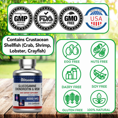 tnvitamins Glucosamin Chondroitin MSM Kapseln, 240 Stück | 4.000 mg pro Portion | 2.000 mg Glucosaminsulfat 2KCl + 2.000 mg MSM & Chondroitin-Mischung | Nahrungsergänzungsmittel für Gelenke