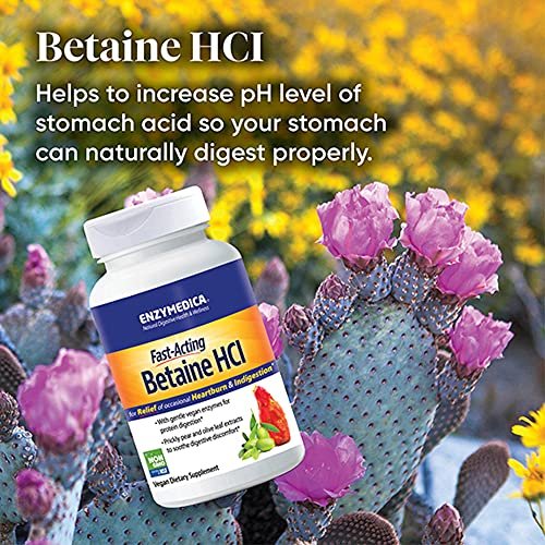 Enzymedica Betain HCl für Männer und Frauen - Betain-Hydrochlorid-Supplement mit Protease-Verdauungsenzymen, Verdauungsgesundheit, gelegentliches Sodbrennen & Verdauungsstörungen, vegan - 120 Kapseln