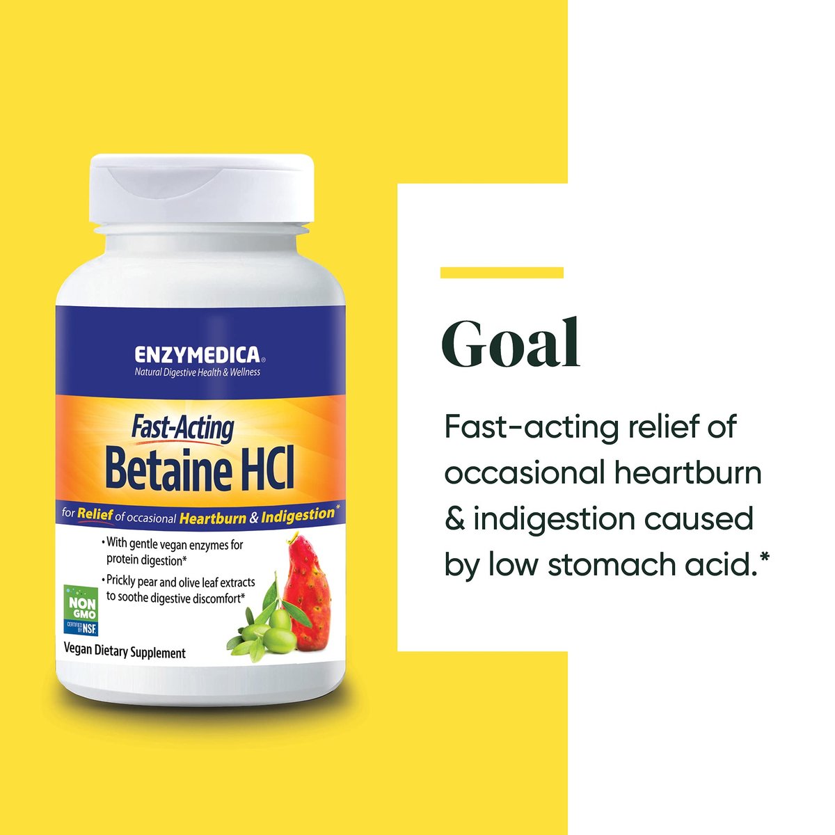 Enzymedica Betain HCl für Männer und Frauen - Betain-Hydrochlorid-Supplement mit Protease-Verdauungsenzymen, Verdauungsgesundheit, gelegentliches Sodbrennen & Verdauungsstörungen, vegan - 120 Kapseln