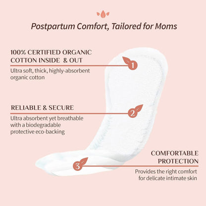 Organyc Wochenbett-Pads für die ersten Tage nach der Geburt, 100% zertifizierte Bio-Baumwolle innen und außen, 12 Stück, groß