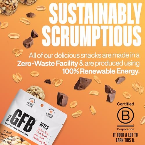 The GFB Dunkle Schokolade Erdnussbutter Protein Bites – Glutenfreie Proteinbällchen, vegan, Non-GMO, sojafrei, Snackgröße, 113 g (1 Packung)