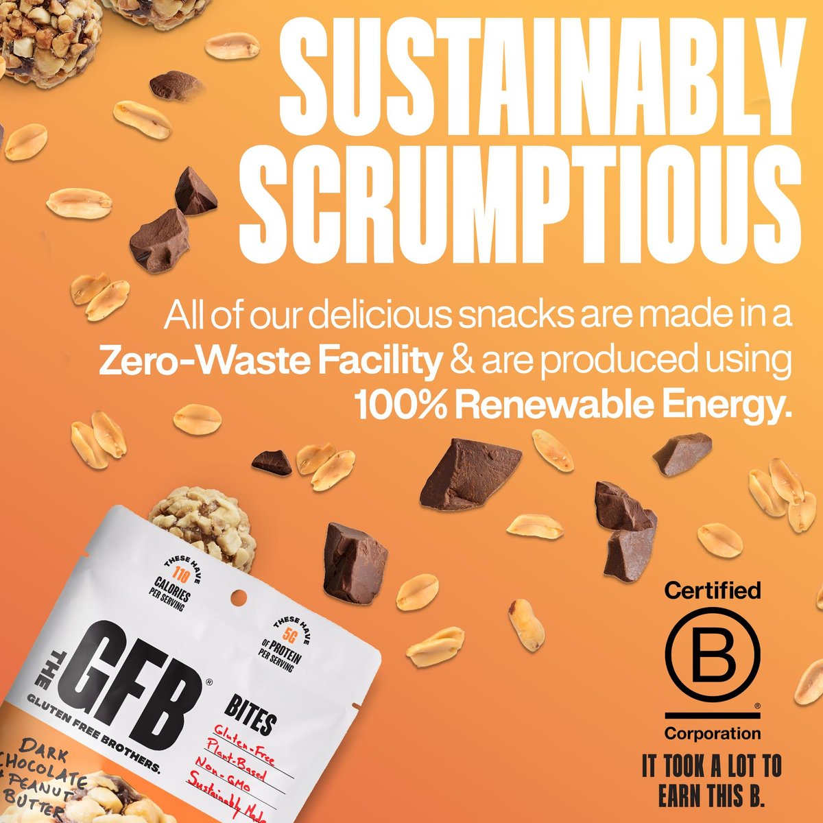 The GFB Dunkle Schokolade Erdnussbutter Protein Bites – Glutenfreie Proteinbällchen, vegan, Non-GMO, sojafrei, Snackgröße, 113 g (1 Packung)