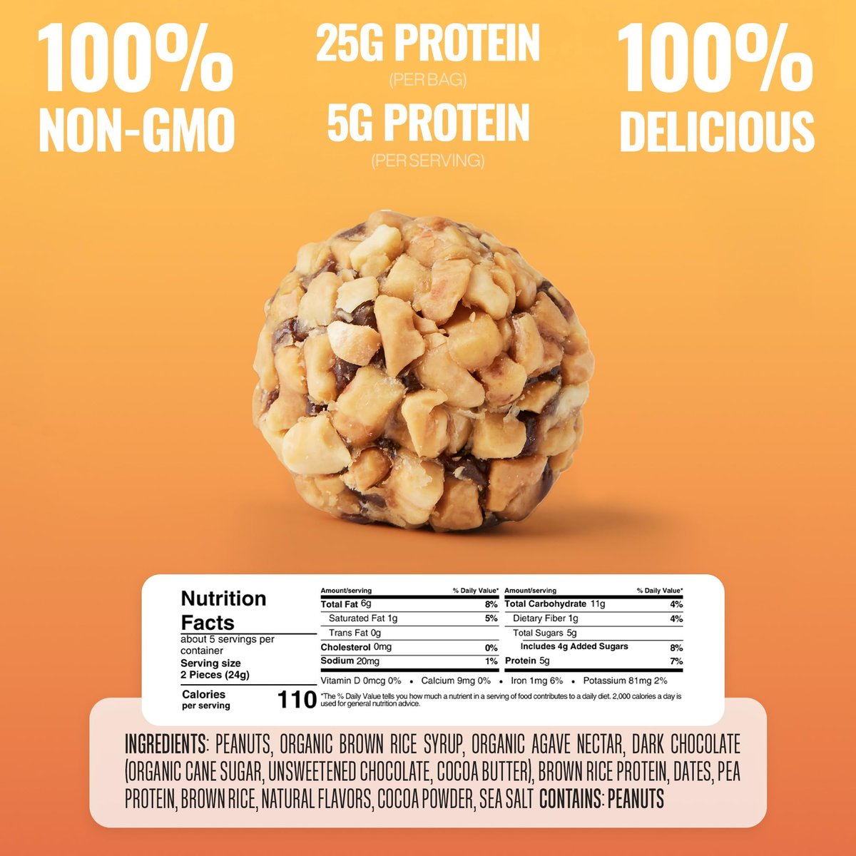 The GFB Dunkle Schokolade Erdnussbutter Protein Bites – Glutenfreie Proteinbällchen, vegan, Non-GMO, sojafrei, Snackgröße, 113 g (1 Packung)