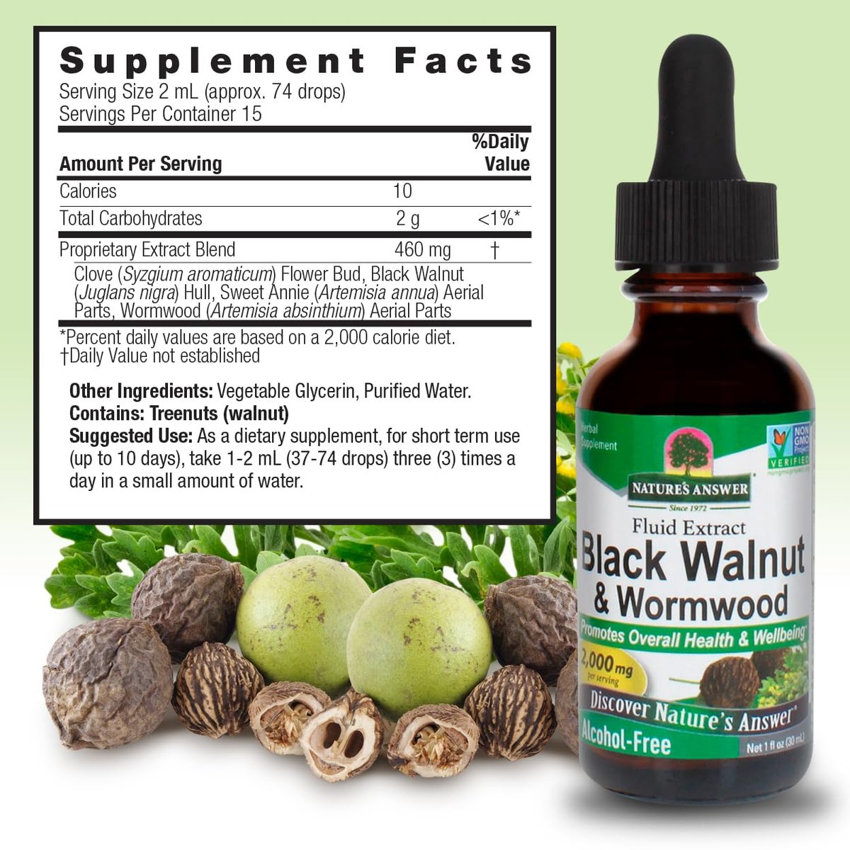 Nature's Answer Schwarze Walnuss & Wermut Komplex | Fördert allgemeines Wohlbefinden und eine gesunde Darmfunktion | Hochkonzentriert 2.000 mg | Vegan, Nicht-GVO, Glutenfrei & Alkoholfrei 30 ml