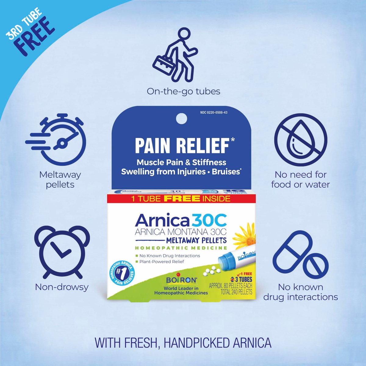 Boiron Arnica Montana 30C Homöopathisches Arzneimittel zur Linderung von Muskelschmerzen, Muskelsteifheit, Schwellungen nach Verletzungen und Verfärbungen durch Blutergüsse – 3er-Pack (240 Kügelchen)