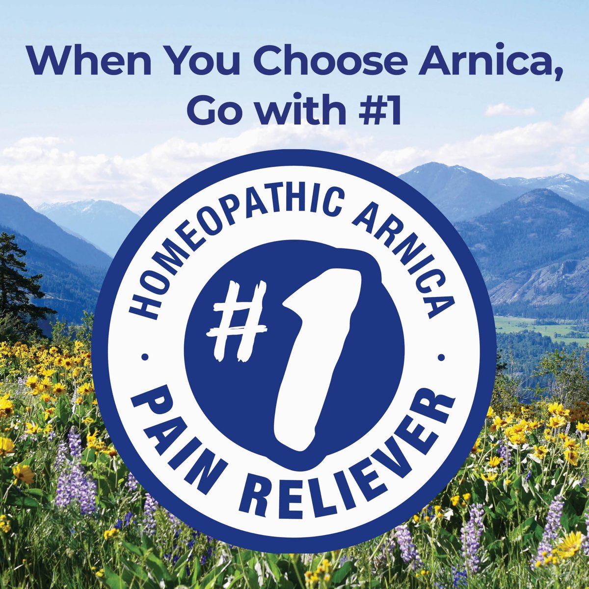 Boiron Arnica Montana 30C Homöopathisches Arzneimittel zur Linderung von Muskelschmerzen, Muskelsteifheit, Schwellungen nach Verletzungen und Verfärbungen durch Blutergüsse – 3er-Pack (240 Kügelchen)