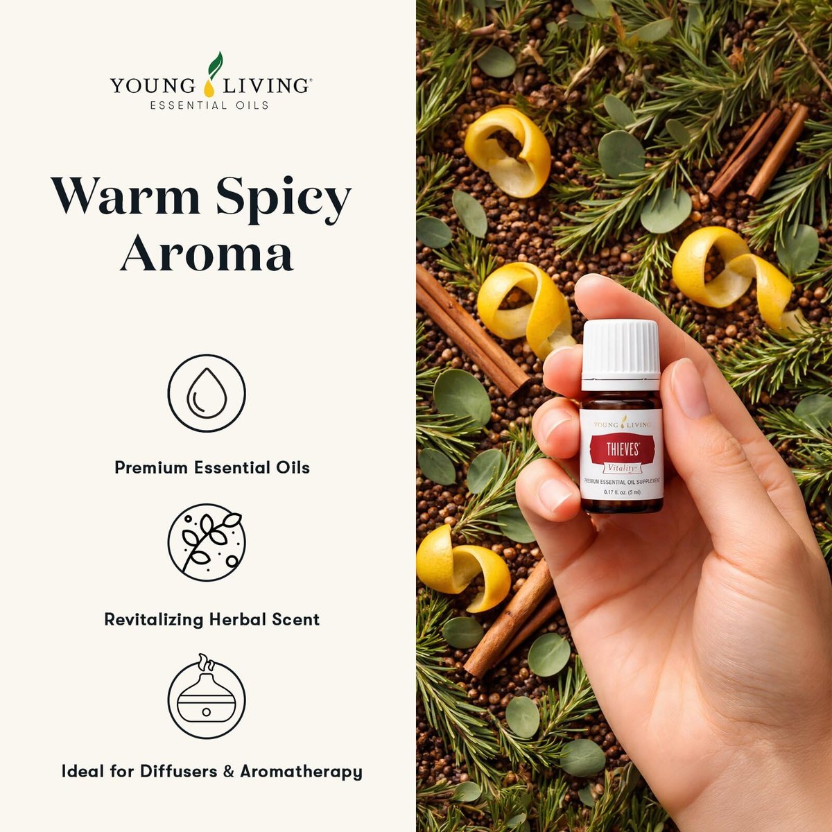 Young Living Thieves Vitality ätherisches Öl – 5 ml | Würzig-kräuteriges Aroma für Diffuser, Massage & Aromatherapie | Nelke, Zitrone, Zimt, Eukalyptus & Rosmarin | Seed-to-Seal-Qualität