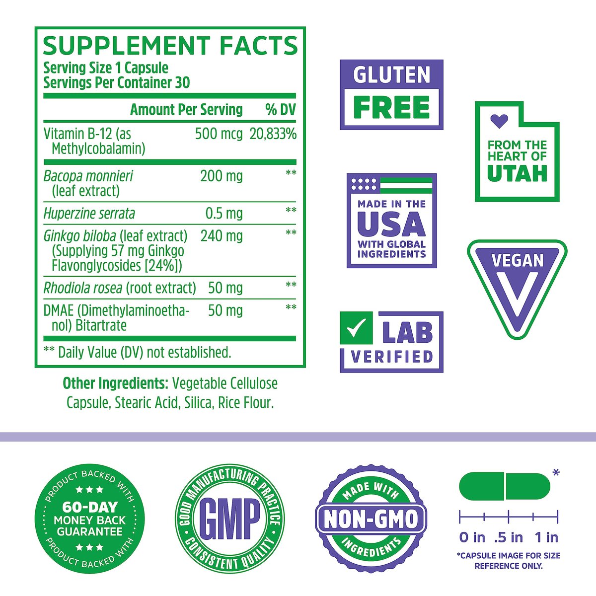Zhou Neuro-Peak – Gehirn-Nahrungsergänzungsmittel für Gedächtnis und Konzentration, Nootropikum für Männer & Frauen, Gedächtnisvitamine – 30 vegane Kapseln (1 Packung)