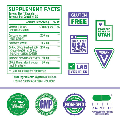 Zhou Neuro-Peak – Gehirn-Nahrungsergänzungsmittel für Gedächtnis und Konzentration, Nootropikum für Männer & Frauen, Gedächtnisvitamine – 30 vegane Kapseln (1 Packung)