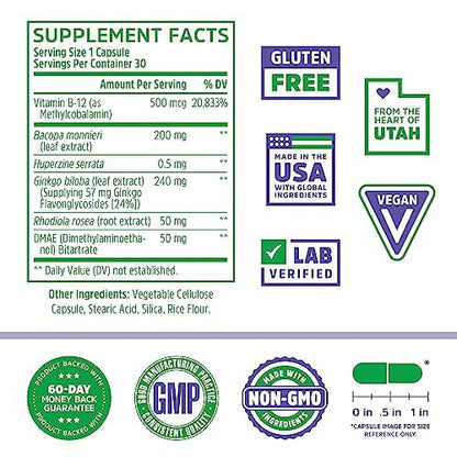 Zhou Neuro-Peak – Gehirn-Nahrungsergänzungsmittel für Gedächtnis und Konzentration, Nootropikum für Männer & Frauen, Gedächtnisvitamine – 30 vegane Kapseln (1 Packung)
