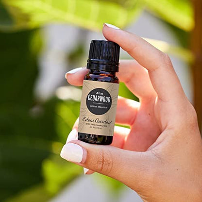 Edens Garden Atlas-Zeder Ätherisches Öl – 100% rein, unverdünnt, therapeutisch, 10 ml