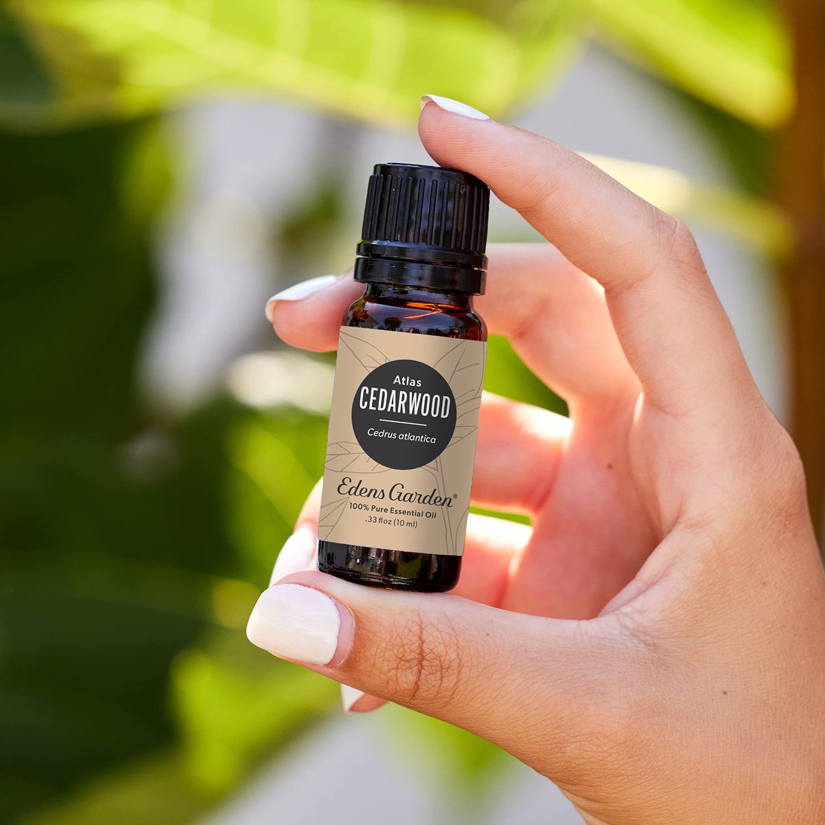 Edens Garden Atlas-Zeder Ätherisches Öl – 100% rein, unverdünnt, therapeutisch, 10 ml