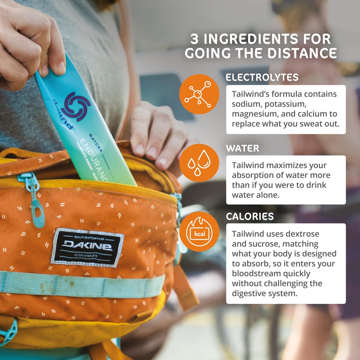 Tailwind Grab-and-Go Endurance Fuel Single Serve Assorted Flavors (8er-Pack) – Hydrationsgetränk mit Elektrolyten und Kohlenhydraten, vegan, glutenfrei