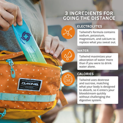 Tailwind Grab-and-Go Endurance Fuel Single Serve Assorted Flavors (8er-Pack) – Hydrationsgetränk mit Elektrolyten und Kohlenhydraten, vegan, glutenfrei