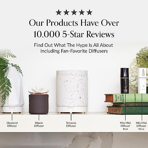 Edens Garden Zimtrindenöl – 100 % reines, unverdünntes ätherisches Öl für Aromatherapie, Diffuser & mehr, 10 ml