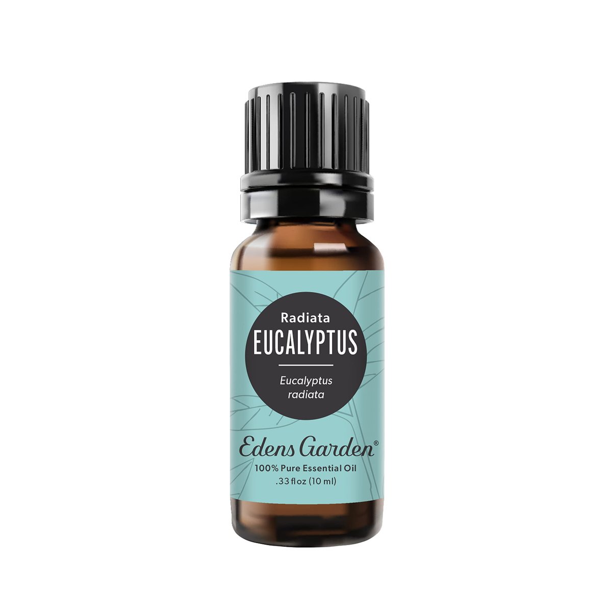 Edens Garden Eukalyptus Radiata Ätherisches Öl – 100% rein, unverdünnt, therapeutisch, 10 ml