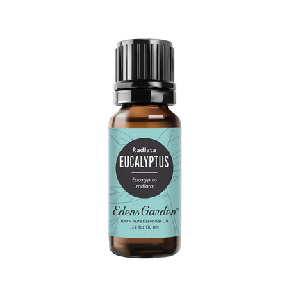 Edens Garden Eukalyptus Radiata Ätherisches Öl – 100% rein, unverdünnt, therapeutisch, 10 ml