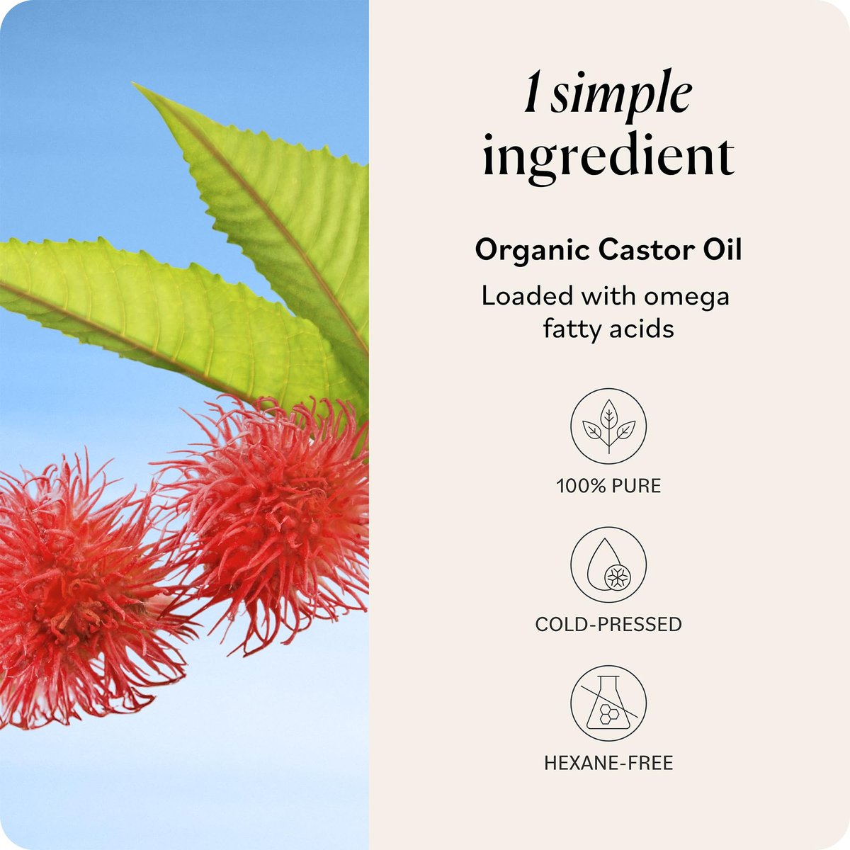 Sky Organics Rizinusöl Bio - Volumen-Haaröl - Für Kopfhaut, Wimpern, Augenbrauen - Reines Rizinusöl Kaltgepresst - Natürlicher Conditioner - Omega-Fettsäuren, Vegan - Schönheit, Haarpflege & Selbstpflege - 473 ml