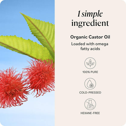 Sky Organics Rizinusöl Bio - Volumen-Haaröl - Für Kopfhaut, Wimpern, Augenbrauen - Reines Rizinusöl Kaltgepresst - Natürlicher Conditioner - Omega-Fettsäuren, Vegan - Schönheit, Haarpflege & Selbstpflege - 473 ml