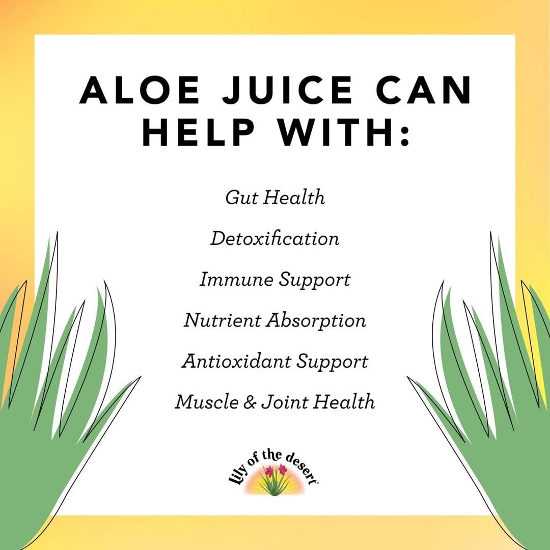 Lily of the Desert Aloe Vera Saft - Ganzes Blatt gefiltertes Aloe Vera Getränk, Nicht-GMO, mit natürlichen Verdauungsenzymen für Darmgesundheit, Magenberuhigung, Wohlbefinden, strahlende Haut, 946 ml mit Gelly-Beutel