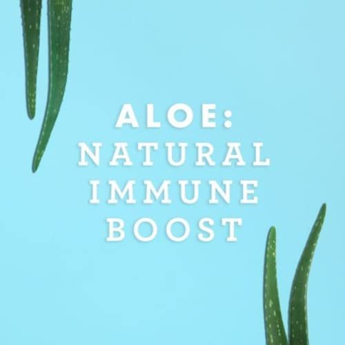 Lily of the Desert Organischer Aloe Vera Saft – Inneres Filet, 473 ml