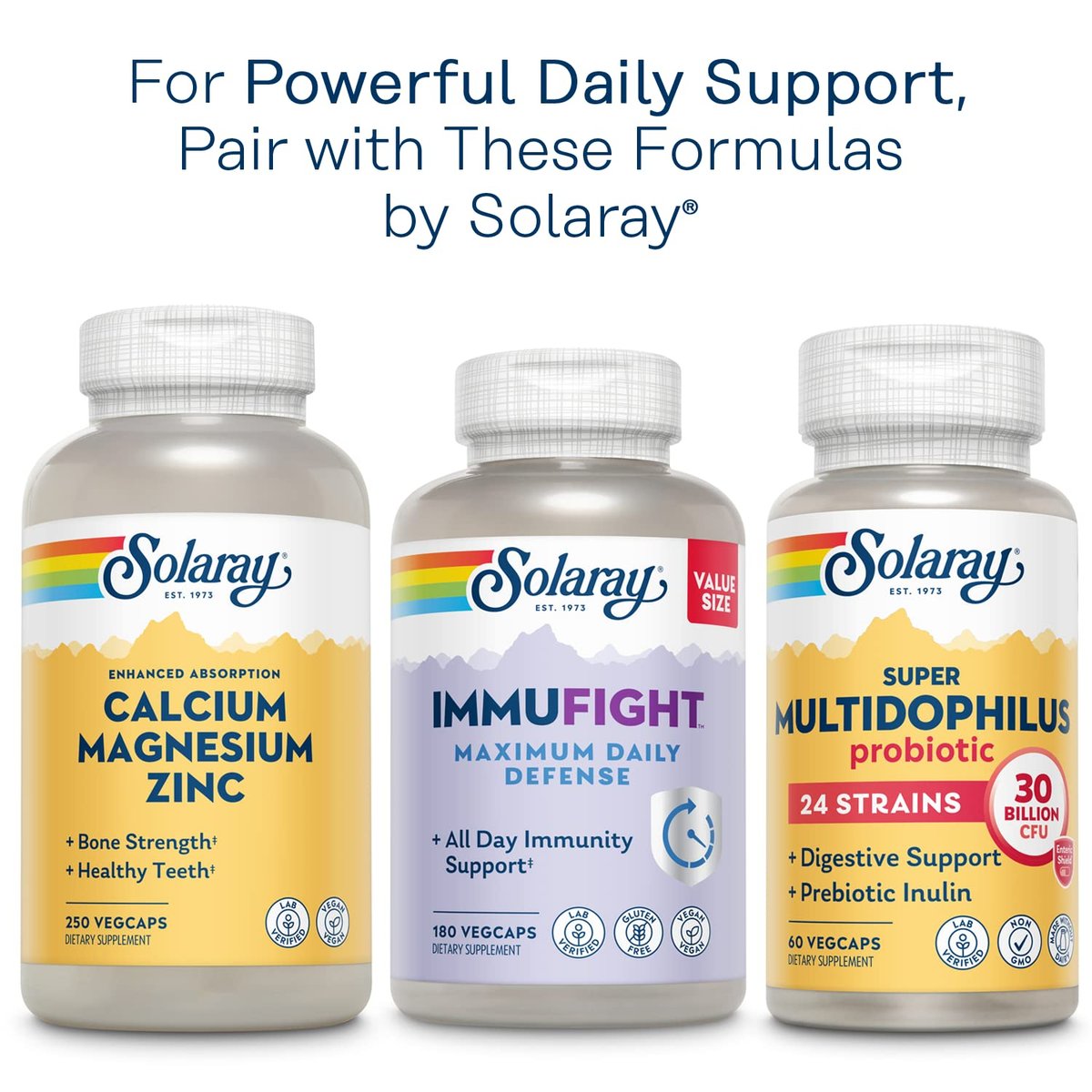 Solaray Once Daily Adult 50+ Komplett-Multivitamin für Frauen & Männer – essentielle Vitamine & chelatierte Mineralien für gesunde Energie, Herz, Gehirn & Immunsystem, mit CoQ10 & Lutein, ohne Eisen, 90 VegKapseln
