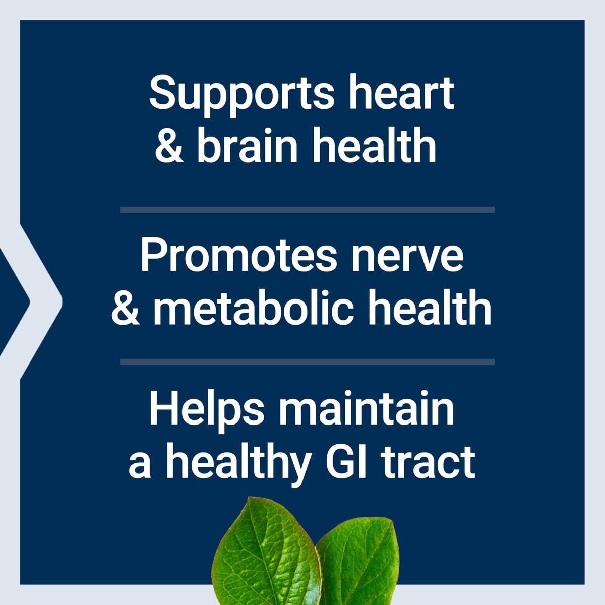 Life Extension BioActive Folat & Vitamin B12 – Unterstützt Herz, Gehirn und Magen-Darm-Trakt, Nicht-GVO, Glutenfrei, Vegetarisch, 90 Kapseln