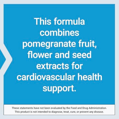 Life Extension Pomegranate Complete - Granatapfel-Extrakt aus Frucht, Blüte und Samenöl - Herz-Kreislauf-Gesundheit, antioxidative Unterstützung, Superfood-Ergänzung - glutenfrei, nicht-GVO, 30 Softgels