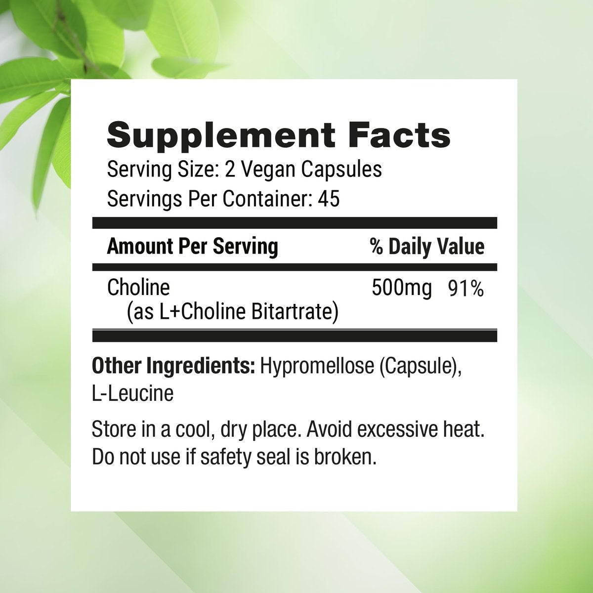 Nested Naturals Cholin Bitartrat 500 mg pro Portion – Hochdosiertes Cholin-Supplement zur Unterstützung kognitiver Leistung und Leberfunktion – 100 % vegan & nicht-GVO – 90 vegane Kapseln