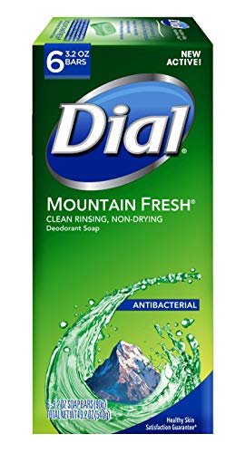 Dial Antibakterielle Seife, Mountain Fresh, 3,2 Unzen, 6er-Pack