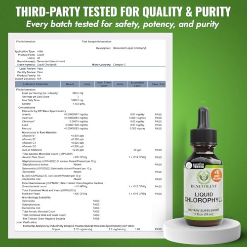 Benevolent Nourishment Chlorophyll-Tropfen, Entgiftung & Immununterstützung, Innerer Deodorant, 60 ml