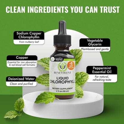 Benevolent Nourishment Chlorophyll-Tropfen, Entgiftung & Immununterstützung, Innerer Deodorant, 60 ml