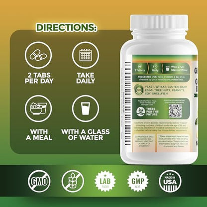 GreeNatr Ginko Biloba & Panax Ginseng Supplement – Gedächtnis & Konzentration, 60 Tabletten