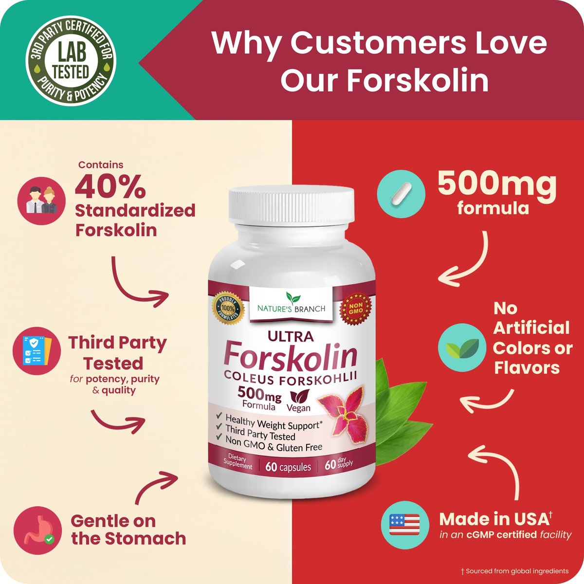 Ultra Forskolin zur Gewichtsunterstützung 500 mg – Höchste Konzentration Coleus Forskohlii Wurzelpulver Extrakt für Männer & Frauen, für die Herzgesundheit – Extra starke Energiekomplex, (2-Monats-Vorrat) 60 Kapseln