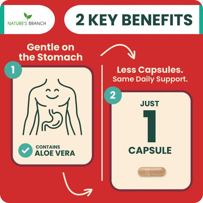 Ultra Forskolin zur Gewichtsunterstützung 500 mg – Höchste Konzentration Coleus Forskohlii Wurzelpulver Extrakt für Männer & Frauen, für die Herzgesundheit – Extra starke Energiekomplex, (2-Monats-Vorrat) 60 Kapseln