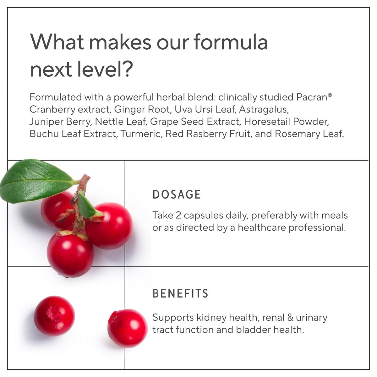 Premium Nierenreinigung Supplement – Starke Nierenunterstützung mit Cranberry und Astragalus – Fördert gesunde Nieren und Harnwege – Nierenreinigung & Reparatur – 60 Kapseln