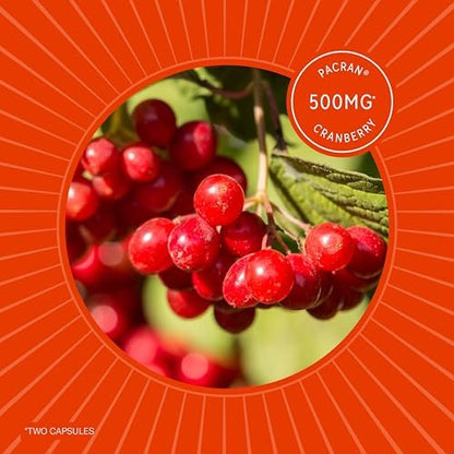 Premium Nierenreinigung Supplement – Starke Nierenunterstützung mit Cranberry und Astragalus – Fördert gesunde Nieren und Harnwege – Nierenreinigung & Reparatur – 60 Kapseln