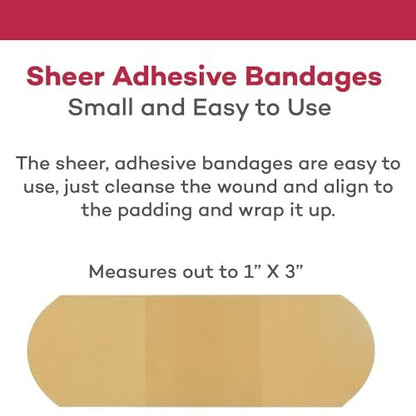Dealmed Sheer Plastic Flexible Adhesive Bandagen – 100 Stück (2er-Pack) mit saugfähigem Pad, latexfrei, Wundversorgung für Erste-Hilfe-Set, 1" x 3"