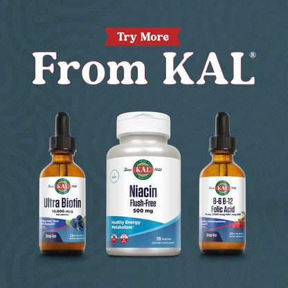 KAL Ultra Biotin 10000mcg DropIns – Flüssige Biotin-Tropfen für Haar, Haut & Nägel, hochdosiertes Vitamin B7, natürlicher Beeren-Mix-Geschmack, 59 ml (ca. 59 Portionen)