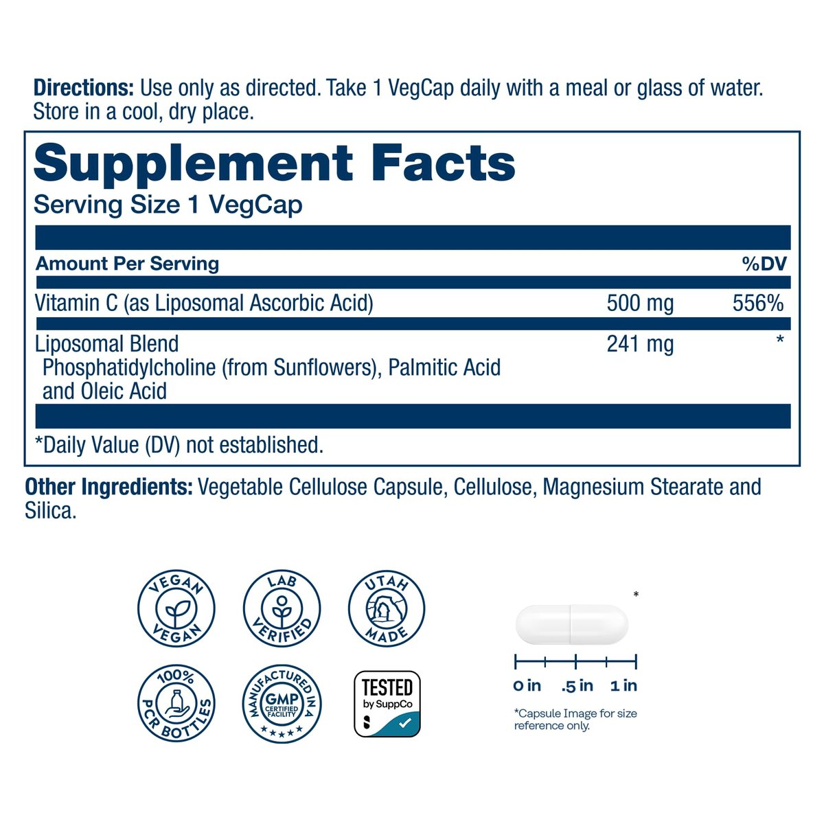 SOLARAY Liposomales Vitamin C 500 mg – Verbesserte Absorption durch Liposomen mit Fettsäuren – Antioxidans und Immununterstützung – Vegan, 60-Tage-Garantie, 100 Portionen, 100 VegKaps