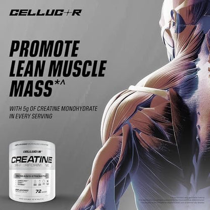 Cellucor Cor-Performance Creatin Monohydrat für Kraft und Muskelwachstum, 72 Portionen